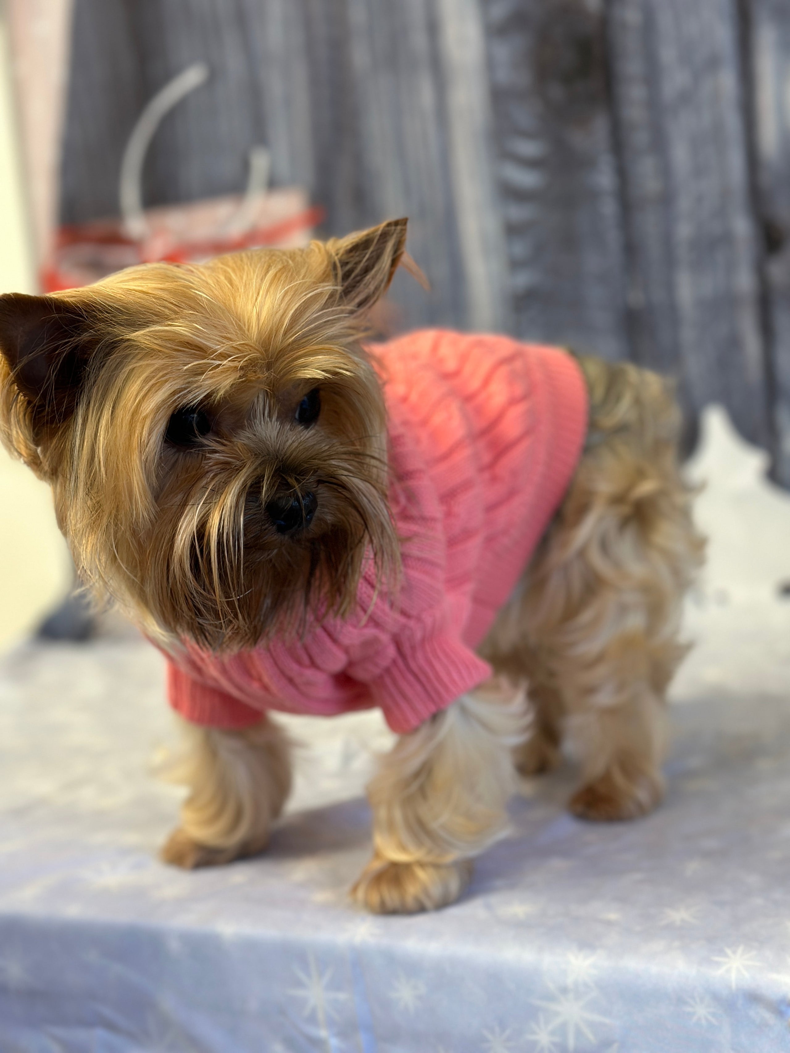 Yorkie dog sweaters hot sale